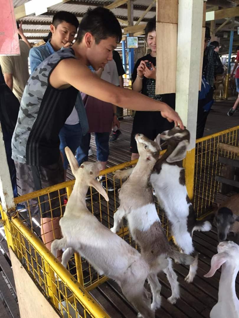 Uk Farm Otel Kluang Dış mekan fotoğraf