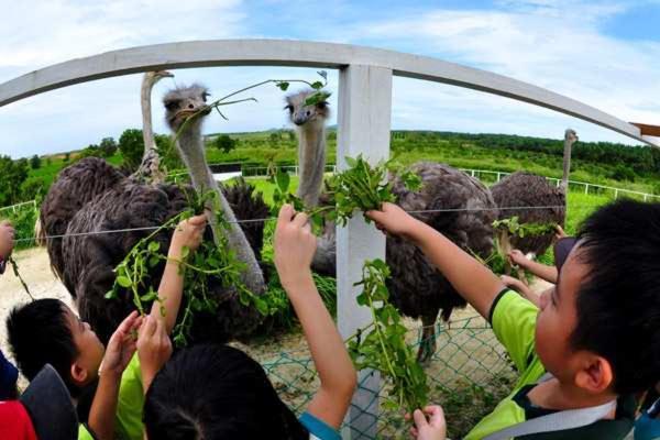 Uk Farm Otel Kluang Dış mekan fotoğraf